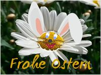 Osterkarte, Frohe Ostern,